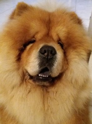 Photos de cedzizou57