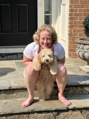 Photos de lastinasinn