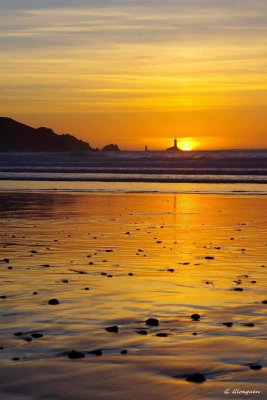 Photos de marchebeaux