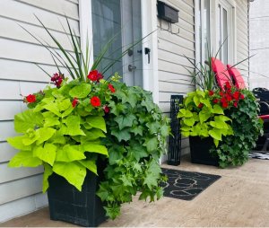 Photos de aurelie563