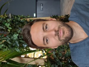 Photos de jips