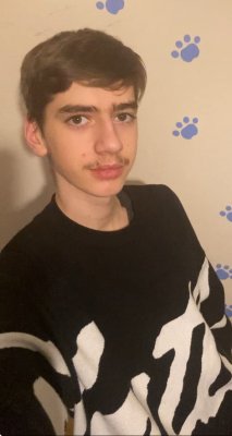 Photos de 7nestgames