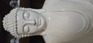 Photos de sansprise2tete33