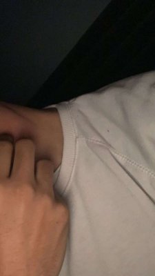 Photos de nassim31300