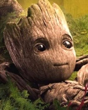 Photos de des-racines-et-des-herbes