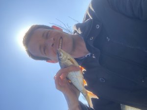 Photos de gentlegreg