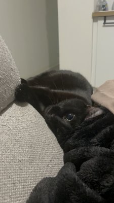 Photos de granddader