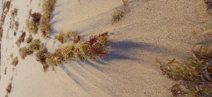 Photos de montjolywam