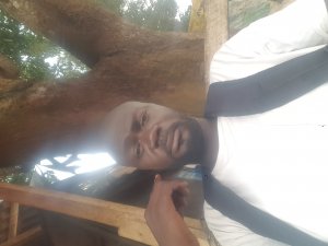 Photos de aliko67