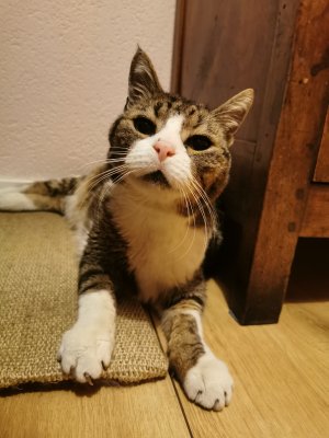Photos de franie66
